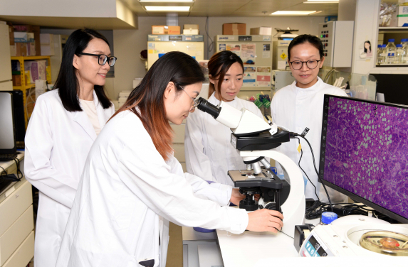 The HKUMed researchers have identified that liver cancer cells rely on the mevalonate pathway to shield themselves from programmed cell death. By blocking this pathway with atorvastatin, their key defenses could be effectively removed.
 